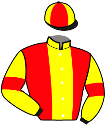 Casaque du n°13 — MARBELLA SMART