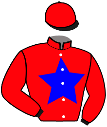 Casaque du n°5 — LADY DE SAINT JEAN