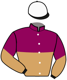 Casaque du n°1 — PRIVATE BANKER SB