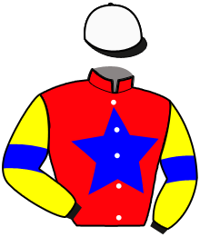 Casaque du n°3 — ORIGETTI