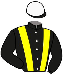 Casaque du n°6 — PLACEYOURBET SB