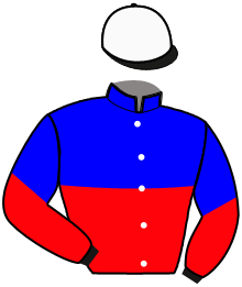 Casaque du n°12 — TAO TURBO