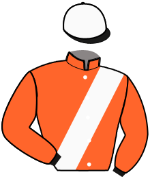 Casaque du n°3 — RONNY D'HOEVE