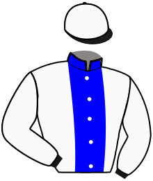 Casaque du n°9 — JETJEIRRA