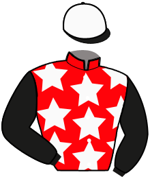 Casaque du n°6 — TINO BAROSSO