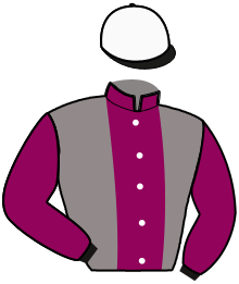 Casaque du n°7 — OLYMPUS STEEL