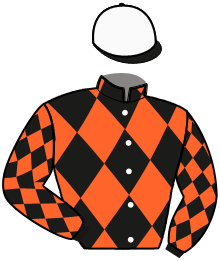 Casaque du n°13 — NOLAN D'OR