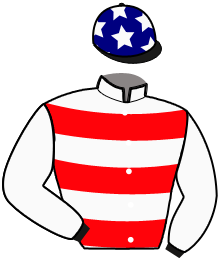 Casaque du n°6 — NEW JACK AMERICA