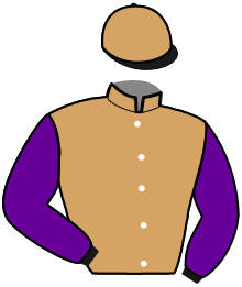 Casaque du n°7 — MANDARINO FLEURY