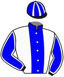 Casaque du n°5 — GALOPIN FONTAINE