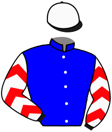 Casaque du n°11 — TATAFORTINO