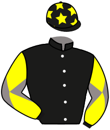Casaque du n°12 — VIRTUE KING
