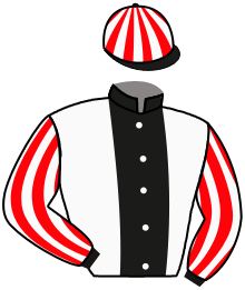 Casaque du n°14 — LADY BLITZLE