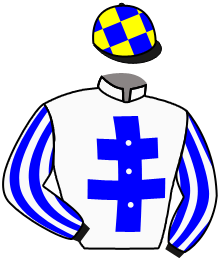 Casaque du n°12 — WESTENDER