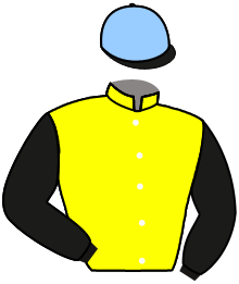 Casaque du n°3 — BARACHIEL