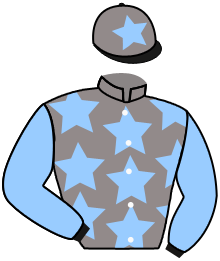 Casaque du n°5 — ARKLAN