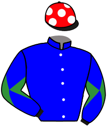 Casaque du n°3 — CAPTAIN FOX