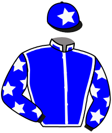 Casaque du n°6 — BLAKEFELL