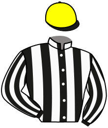 Casaque du n°7 — VICTORY ACE
