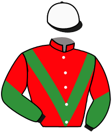 Casaque du n°1 — TUBA