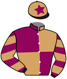 Casaque du n°5 — GOLDEN GARDEN