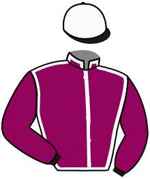 Casaque du n°1 — HARDWEL