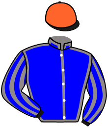 Casaque du n°11 — INJAN