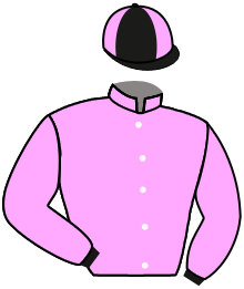 Casaque du n°11 — KOLPLET