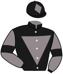 Casaque du n°4 — TORNILLA