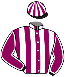 Casaque du n°12 — UGATZAI