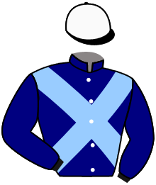 Casaque du n°13 — AMORETTI