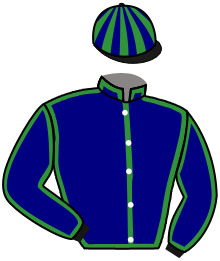 Casaque du n°1 — VILLA DARYA