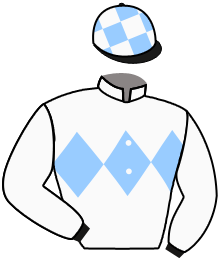 Casaque du n°11 — DON NICOLAS