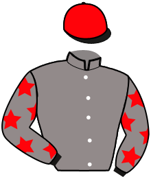 Casaque du n°1 — MADE IN NAVARY