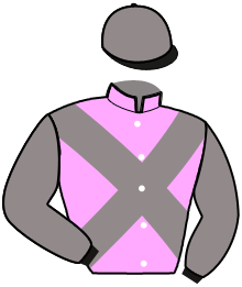 Casaque du n°16 — MAMAROSE