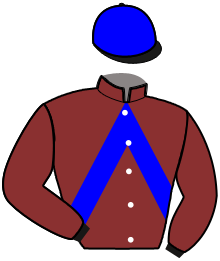 Casaque du n°4 — MOCHE ET MECHANT
