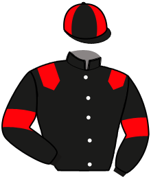 Casaque du n°11 — MIRAGE DE BRAY