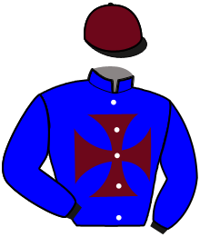 Casaque du n°5 — MILO DE NAPPES