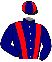 Casaque du n°8 — KING DE GINAI