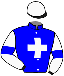 Casaque du n°2 — INVINCIBLE MAUZUN