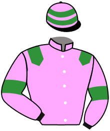 Casaque du n°11 — SULEIMA