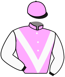 Casaque du n°9 — MAZARA