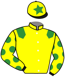 Casaque du n°12 — MUDHAWI