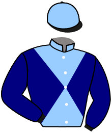 Casaque du n°15 — LA DOLOISE