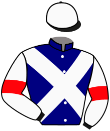 Casaque du n°12 — SPEEDSTER