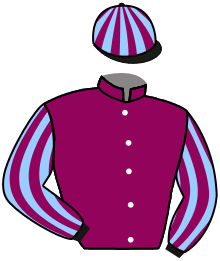 Casaque du n°2 — KENSILVER