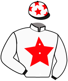 Casaque du n°4 — HERMES DE L'ISAC