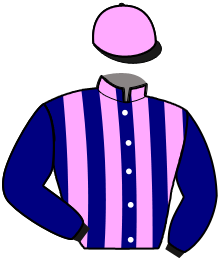 Casaque du n°3 — KAZAK ROYAL