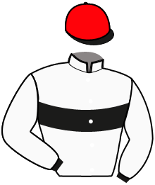 Casaque du n°12 — LORD EOLE