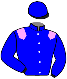 Casaque du n°6 — LEO DE MIL